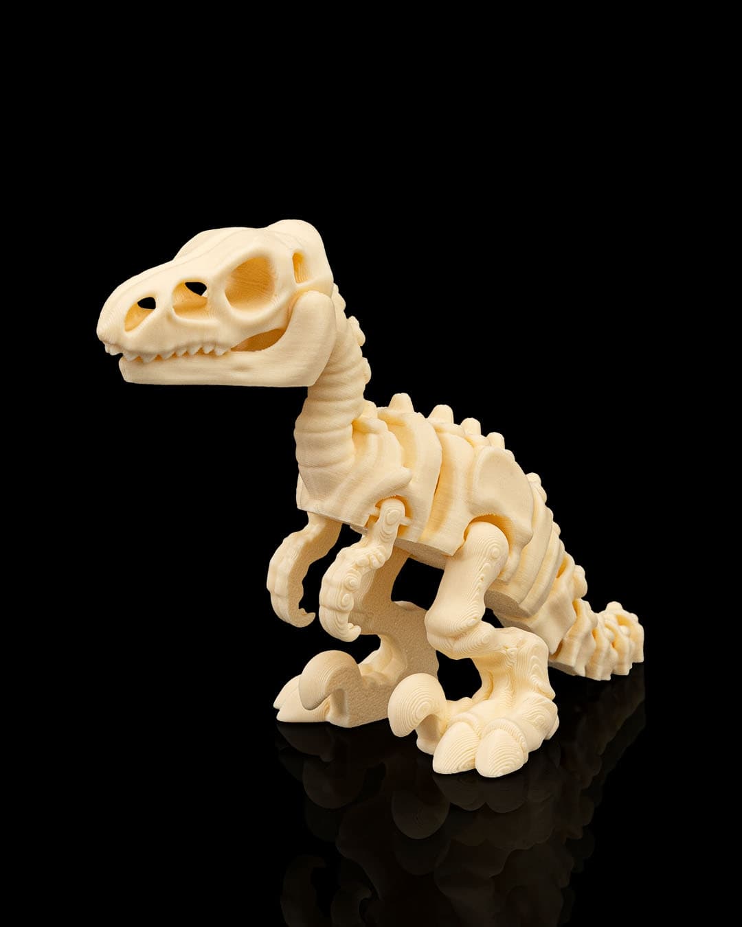 Velociraptor